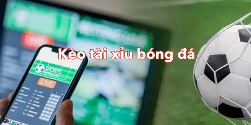 Theo dõi và cập nhật kết quả